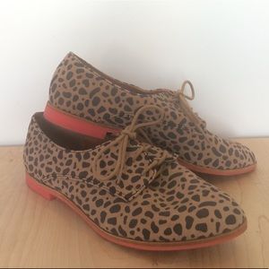 Leopard Oxford’s
